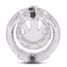  Cage de chasteté Beam 6 x 3cm Transparente